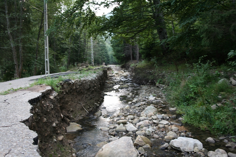 Original image
